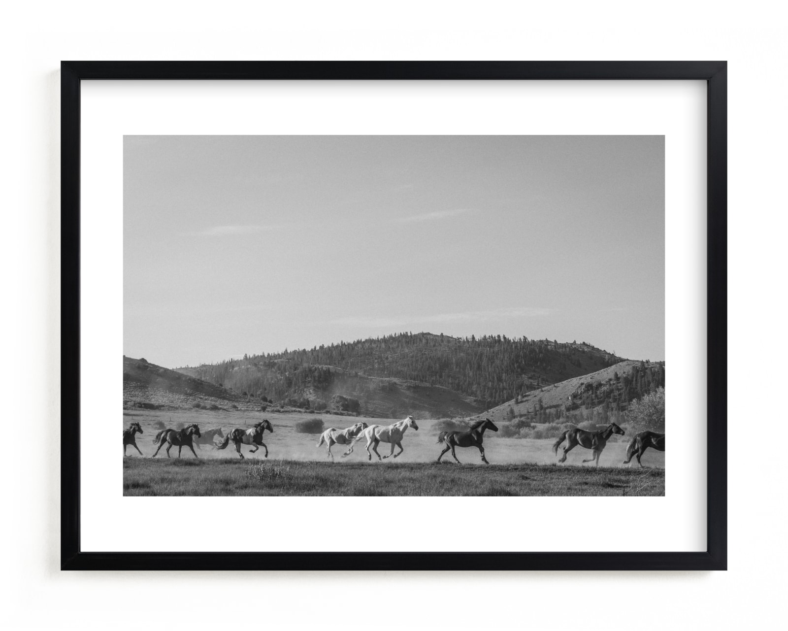 "wild wild west II" - Limited Edition Art Print by Sara Hicks Malone in beautiful frame options and a variety of sizes.