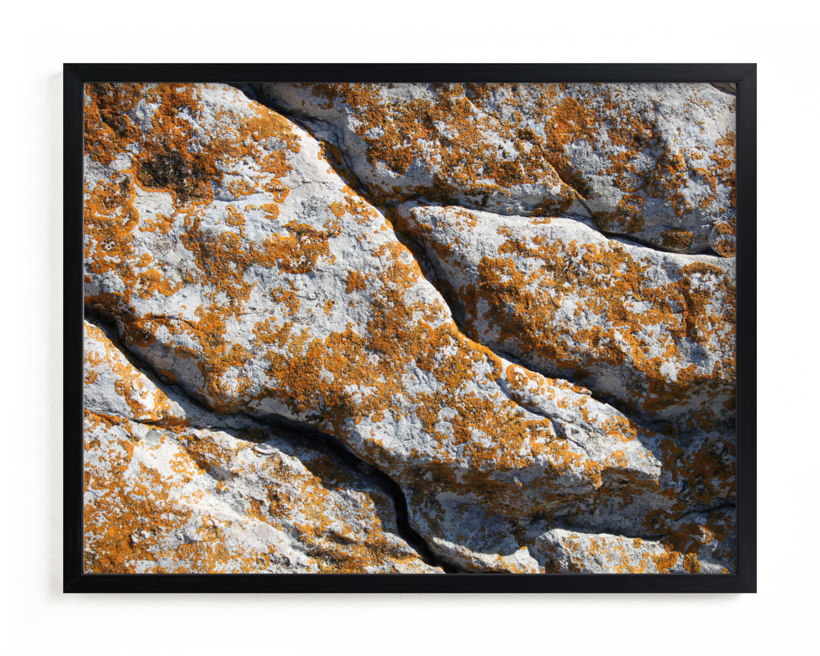 "Mediterranean Lichen" - Limited Edition Art Print by Christiana Petschallies in beautiful frame options and a variety of sizes.