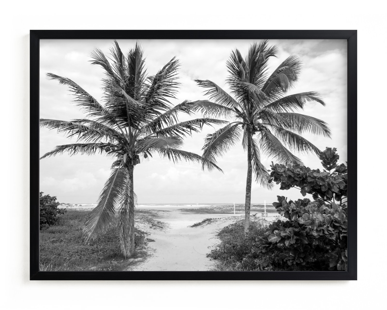 "Coconut gate" - Limited Edition Art Print by Eliane Lamb in beautiful frame options and a variety of sizes.