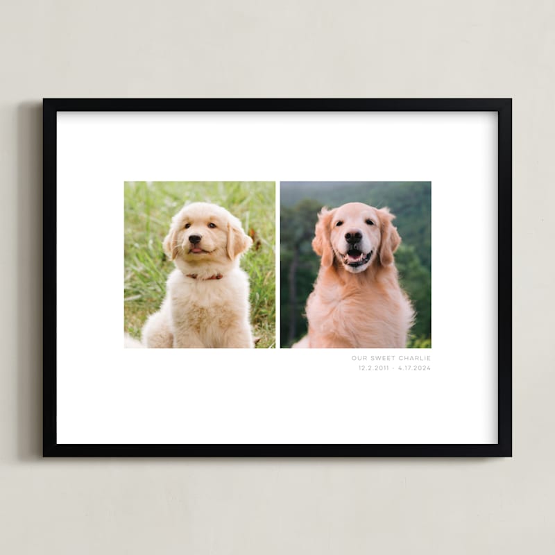 "Two Photo: Landscape Framed Photo" - Custom Photo Art by Anelle Mostert in beautiful frame options and a variety of sizes.
