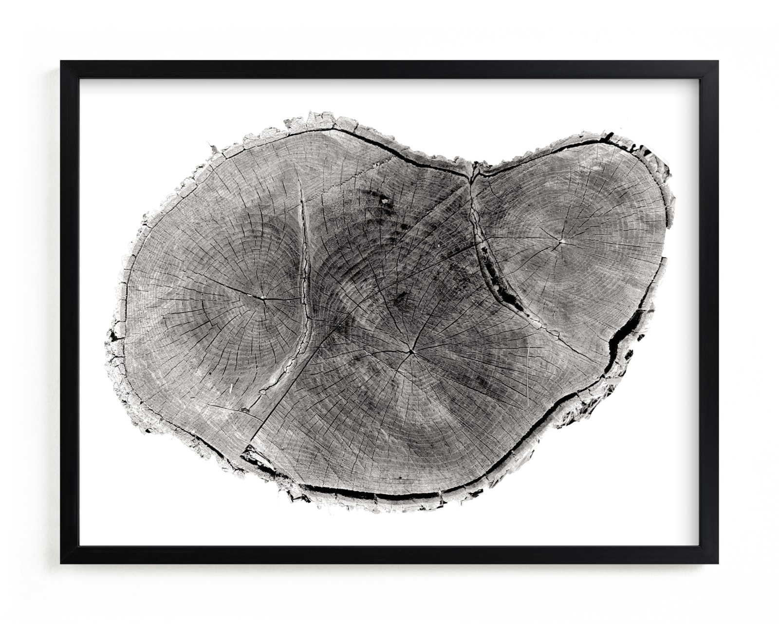 "Tree Rings pt. 1" - Limited Edition Art Print by Mackenzie Darrach in beautiful frame options and a variety of sizes.