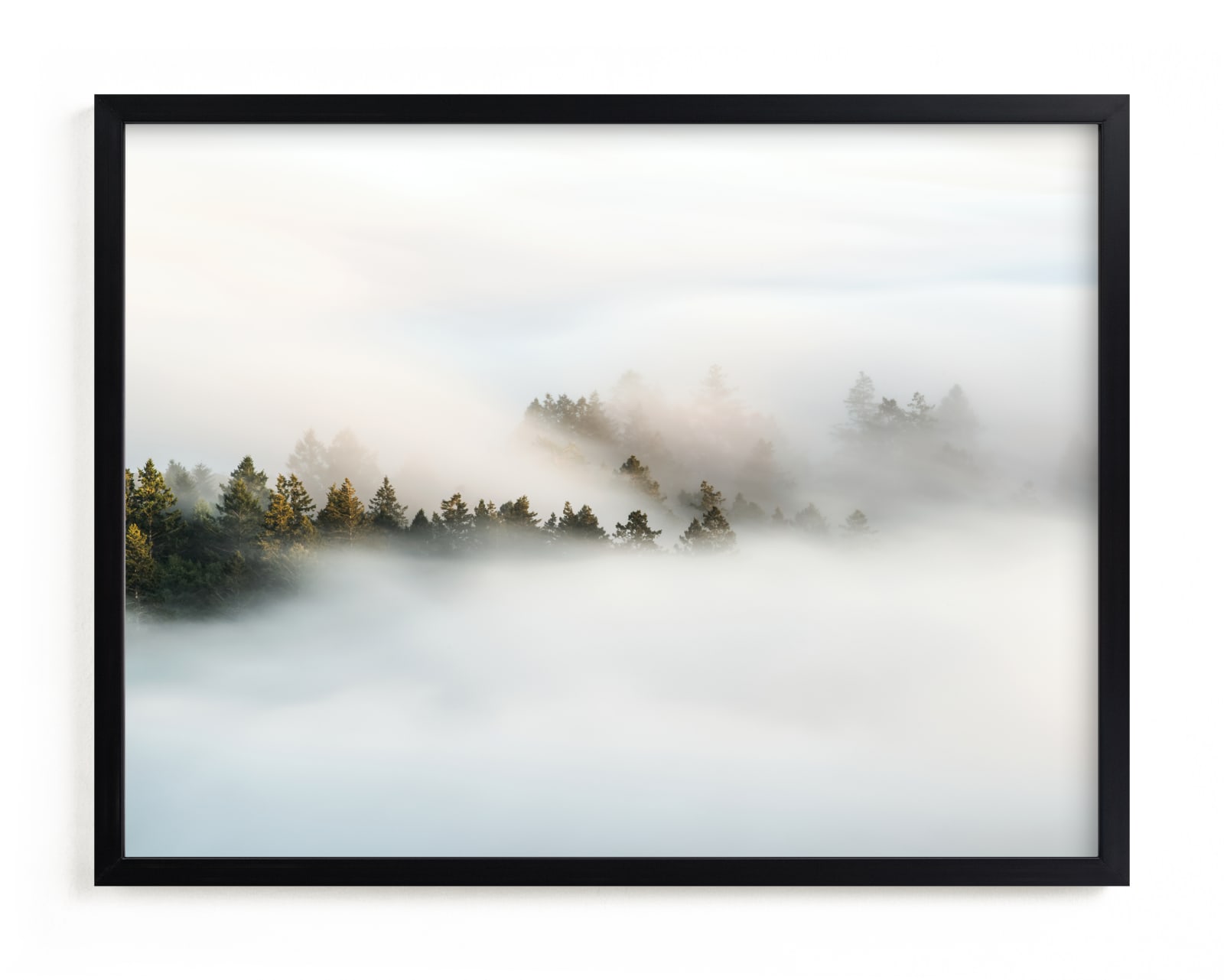 "Revealing II" - Open Edition Fine Art Print by Tania Medeiros in beautiful frame options and a variety of sizes.