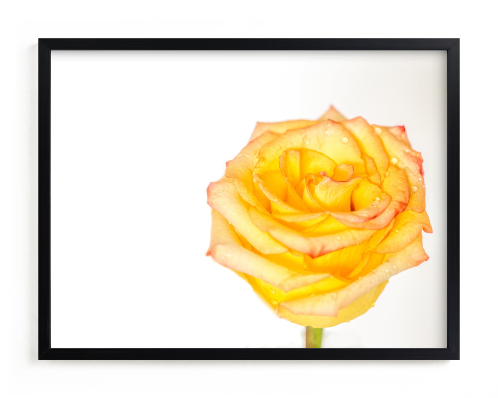 "Minimalist Beauty 2" - Art Print by Mary Ann Glynn-Tusa in beautiful frame options and a variety of sizes.