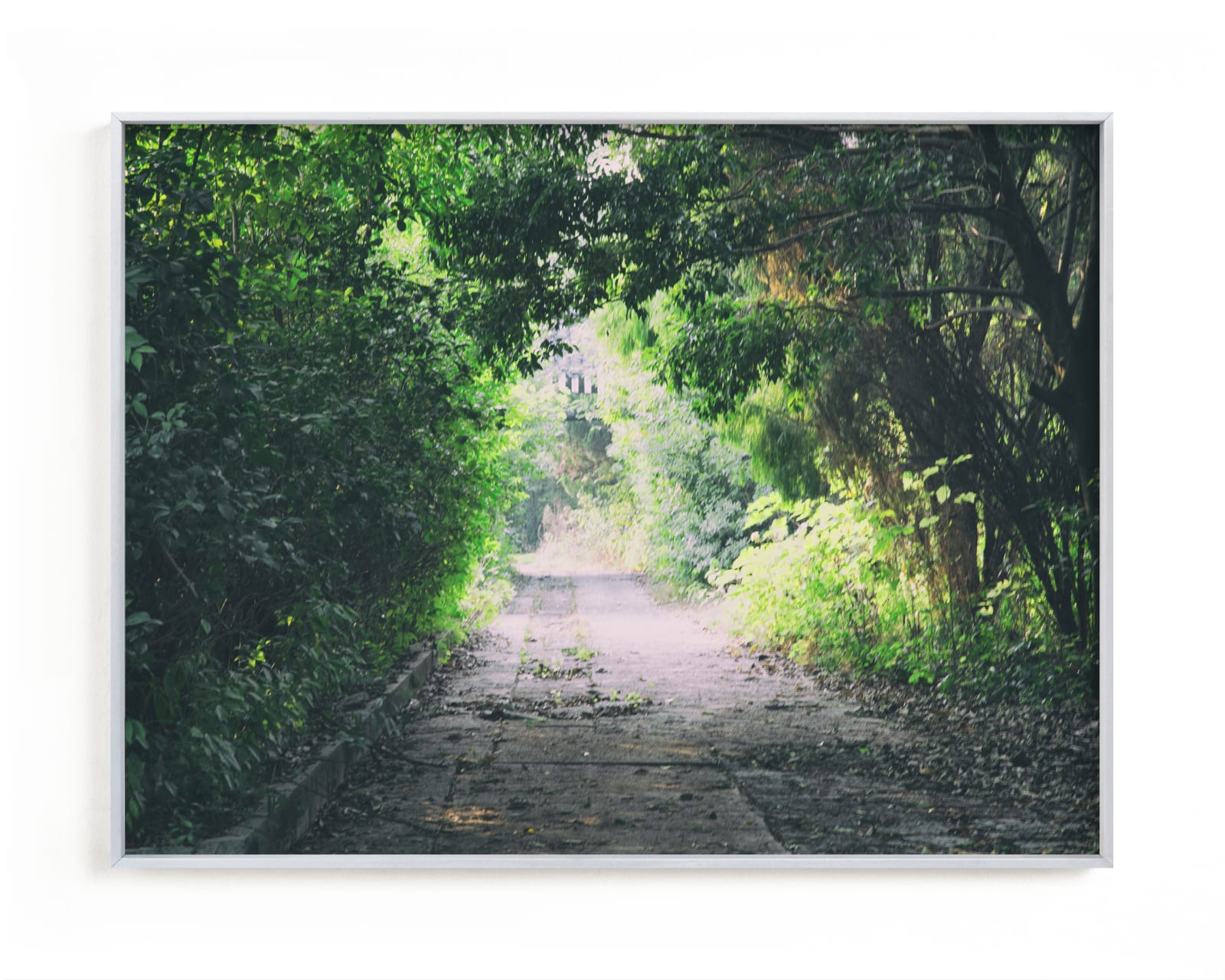"Pathway" - Limited Edition Art Print by Carol Schiraldi in beautiful frame options and a variety of sizes.