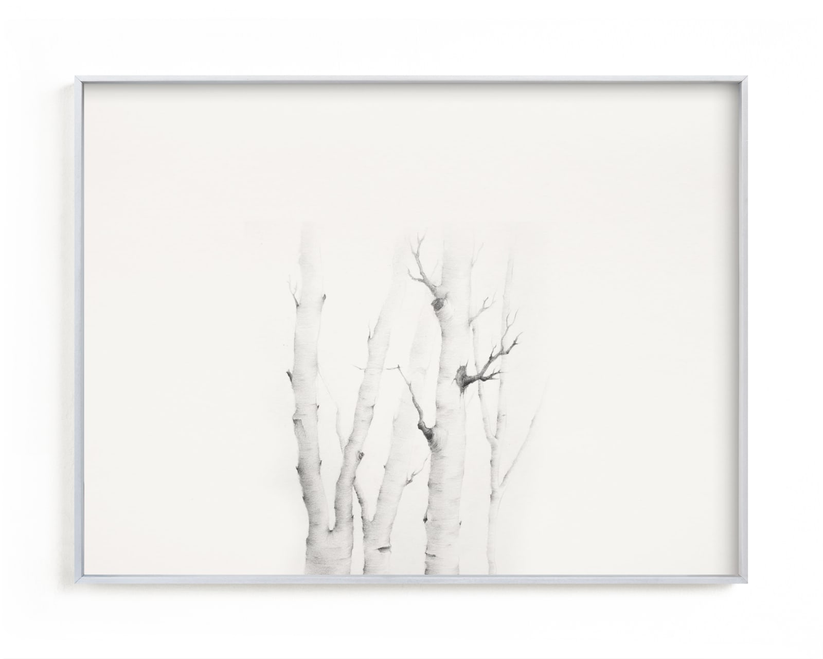 "Birch in Chappaquiddick" - Art Print by jinseikou in beautiful frame options and a variety of sizes.