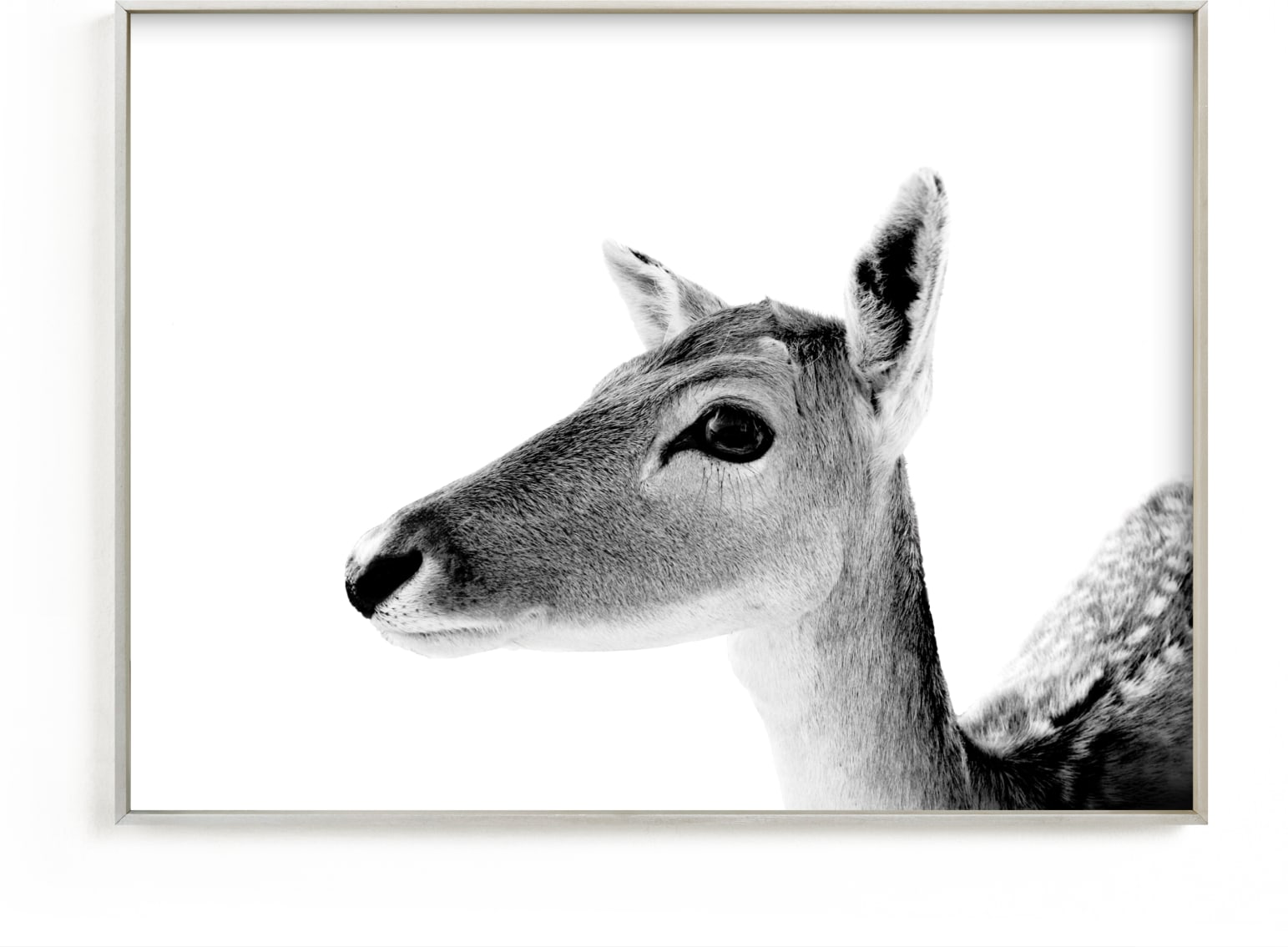 This is a black and white art by Jessie Steury called Darling Deer.