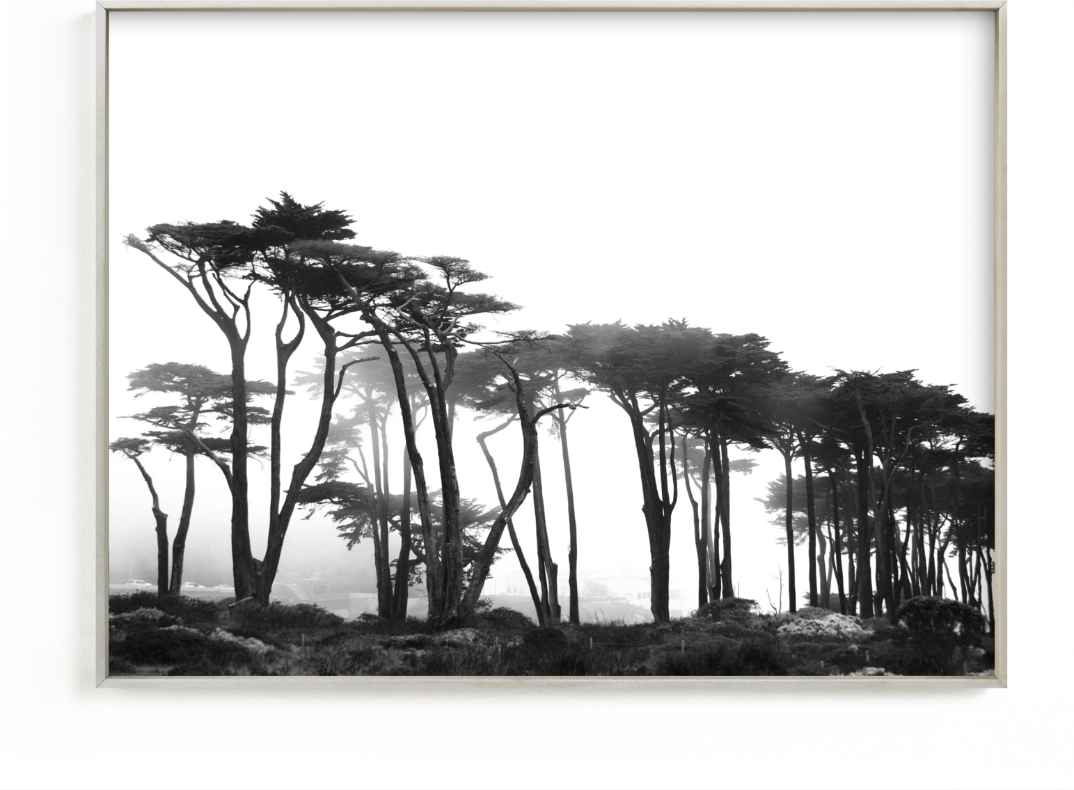 This is a black and white art by Tania Medeiros called Lands End.