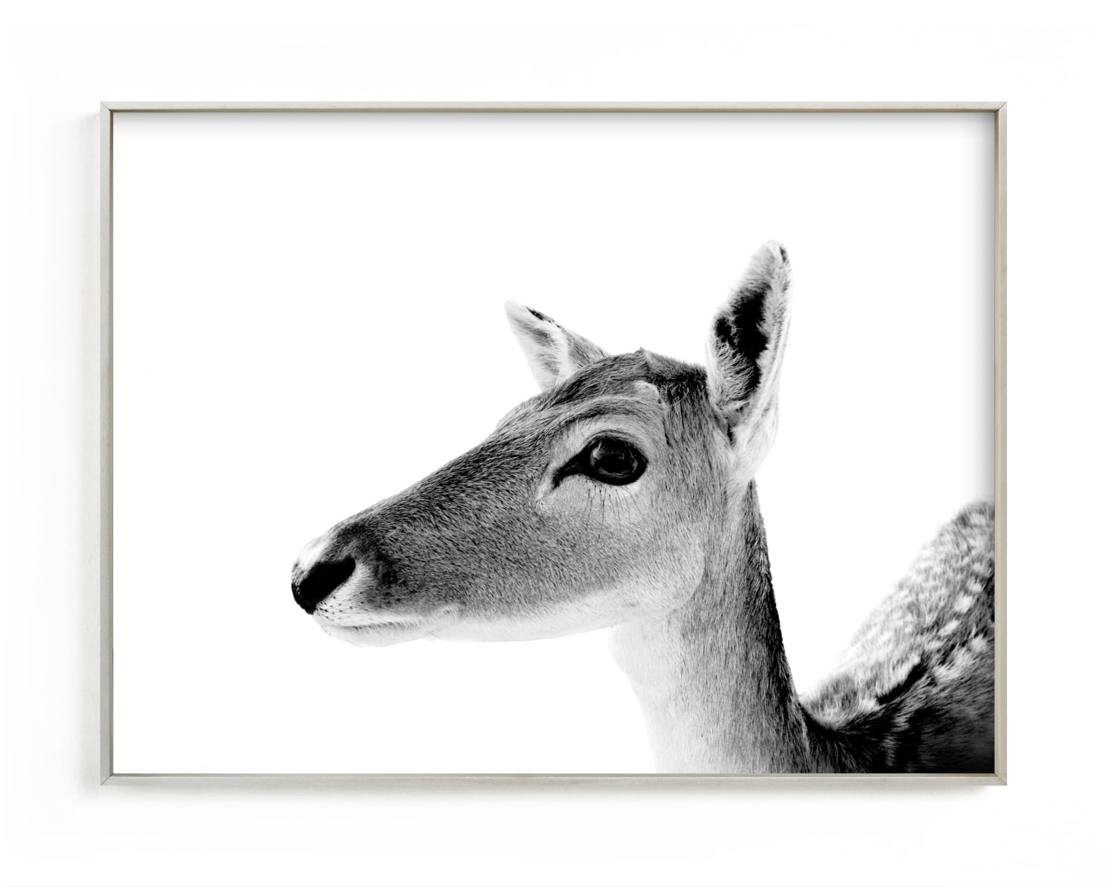 "Darling Deer" - Limited Edition Art Print by Jessie Steury in beautiful frame options and a variety of sizes.
