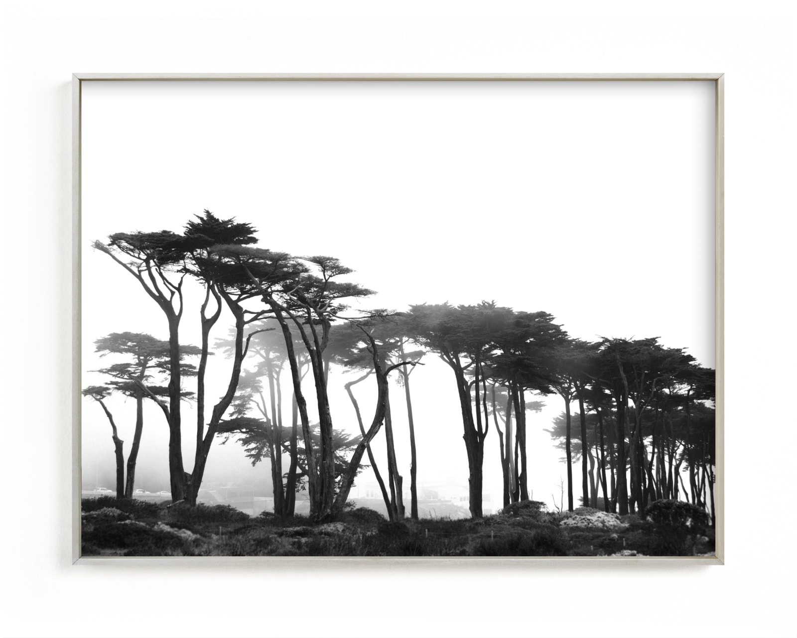 "Lands End" - Limited Edition Art Print by Tania Medeiros in beautiful frame options and a variety of sizes.