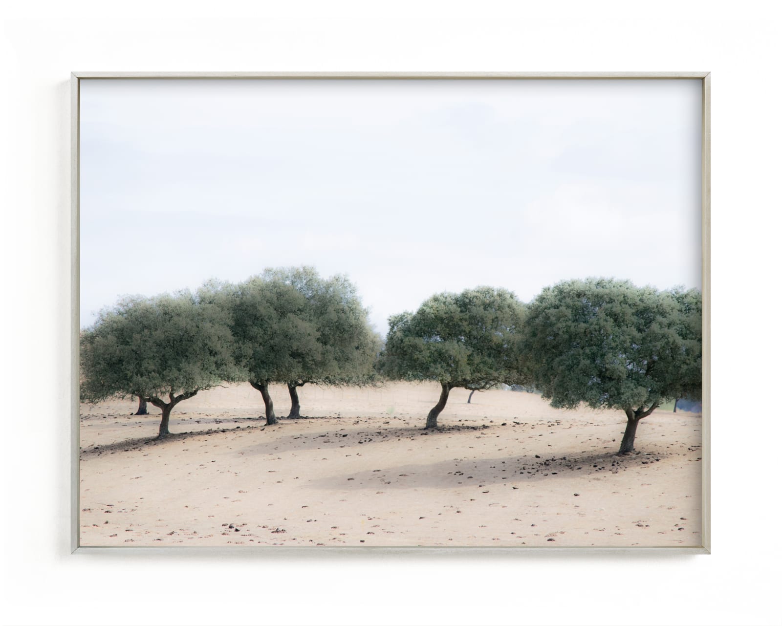 "Casting Shade" - Limited Edition Art Print by Courtney Crane in beautiful frame options and a variety of sizes.