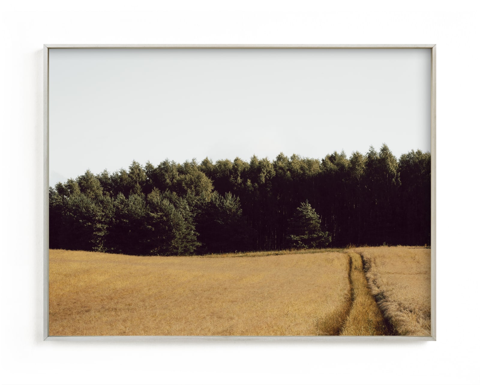 "NATURAL TEXTURE IV" by Lying on the grass in beautiful frame options and a variety of sizes.