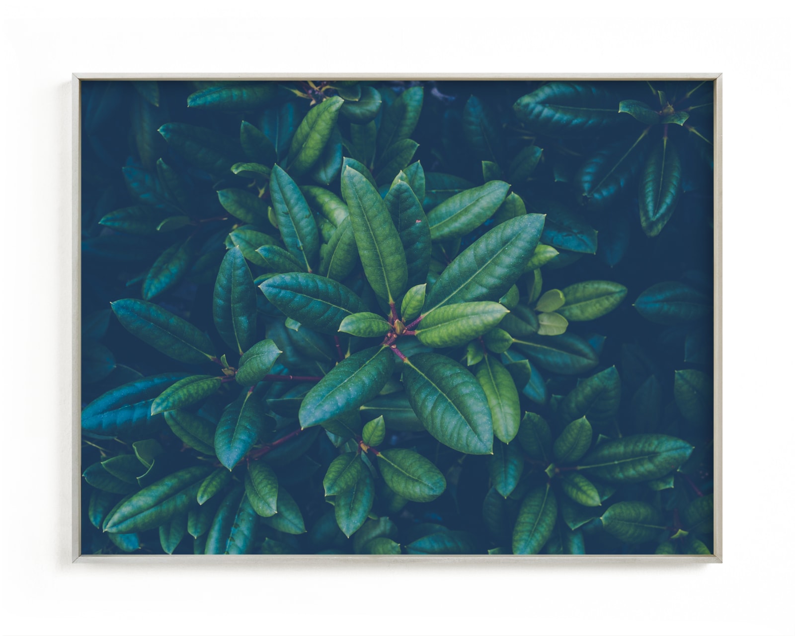 "NATURAL TEXTURE II" by Lying on the grass in beautiful frame options and a variety of sizes.