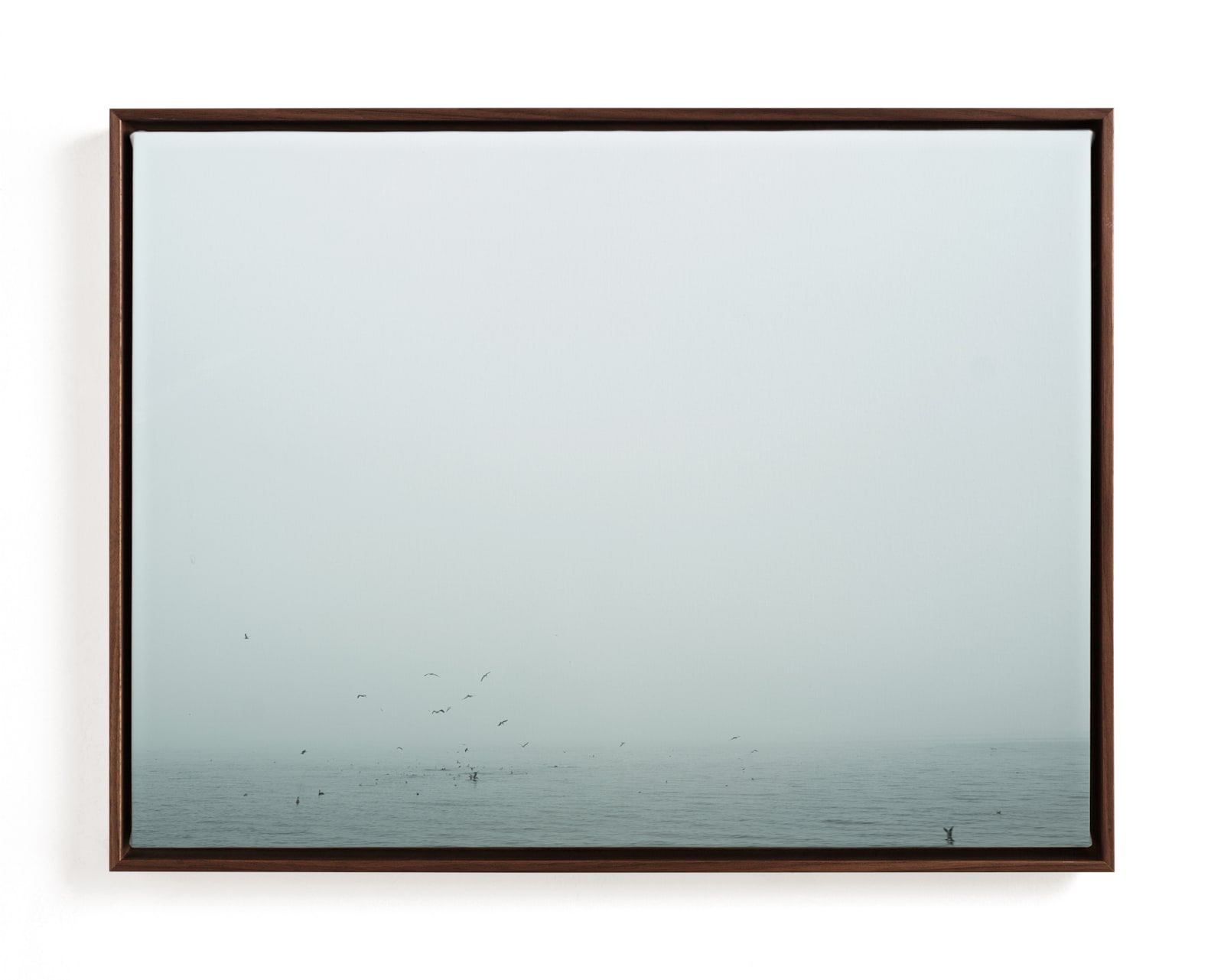 "Birds Diving for Fish" - Art Print in Birds Aqua by Katie Buckman - Framed Canvas