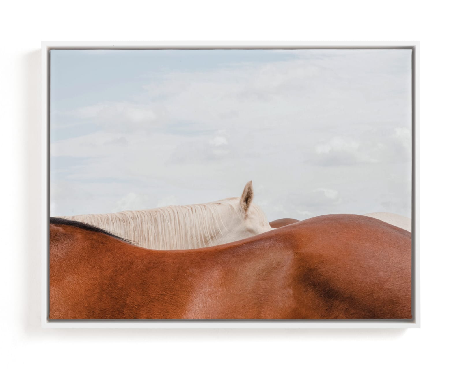 "peekaboo II" - Limited Edition Art Print by Sara Hicks Malone in beautiful frame options and a variety of sizes.