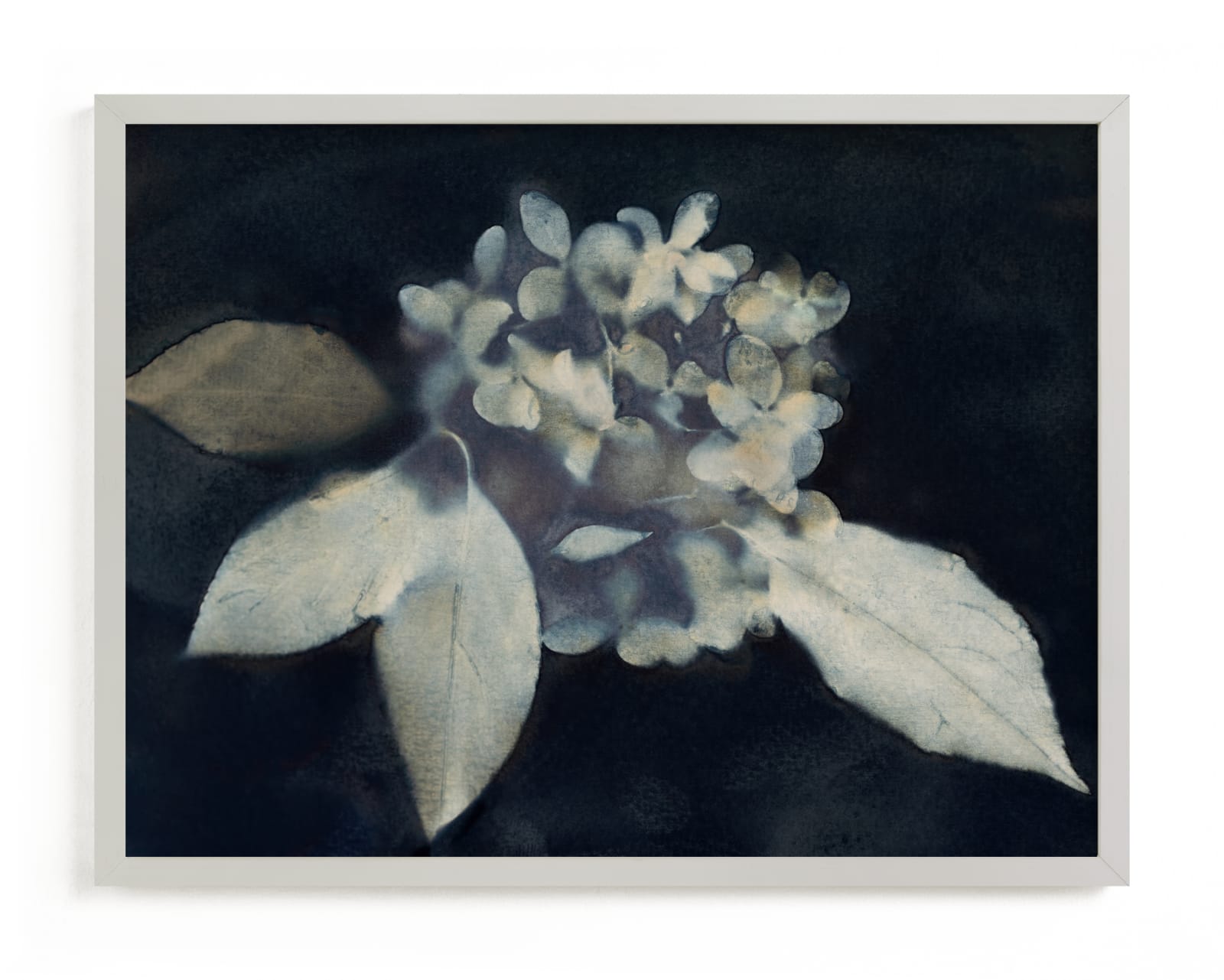 "Hortensia" - Limited Edition Art Print by Courtney Crane in beautiful frame options and a variety of sizes.