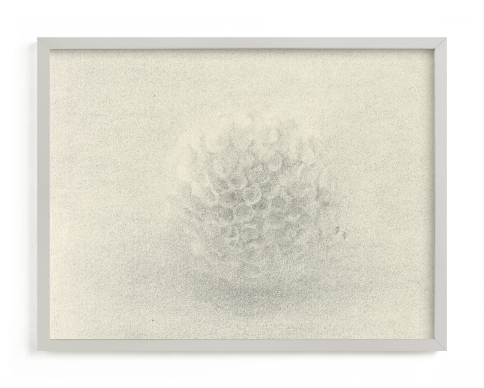 "Sea Urchin" - Limited Edition Art Print by Elisabeth Larson in beautiful frame options and a variety of sizes.