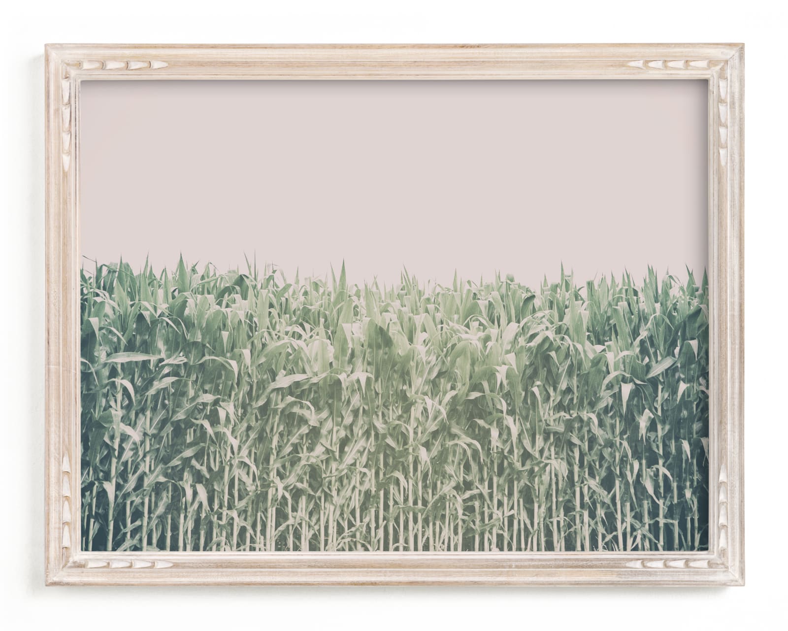 "Corn Field" - Limited Edition Art Print by Alexis Arnold in beautiful frame options and a variety of sizes.