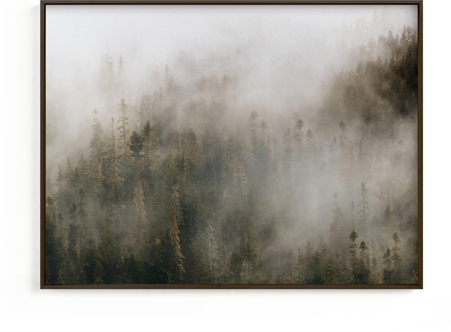 This is a white art by 1885 Atelier called Pacific North Fog.