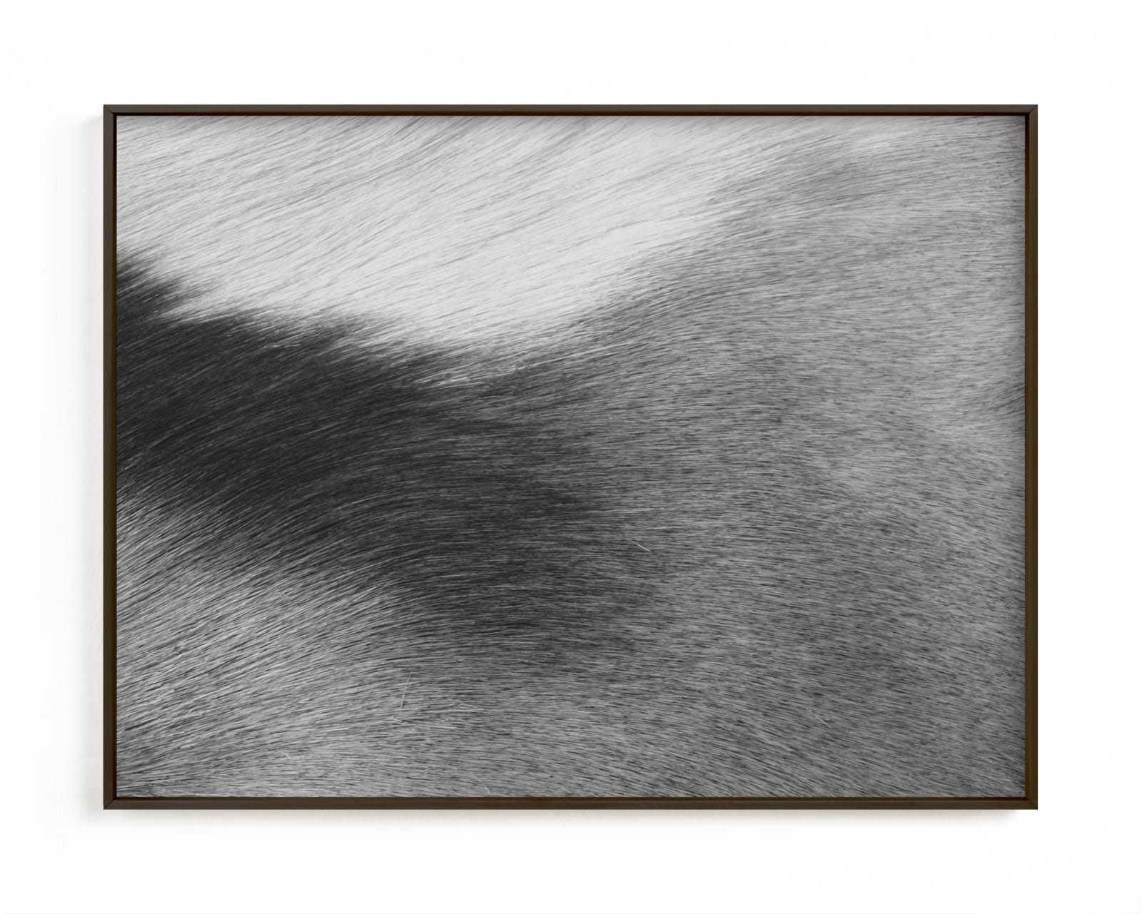 "Fade" - Limited Edition Art Print by Catherine Culvenor in beautiful frame options and a variety of sizes.