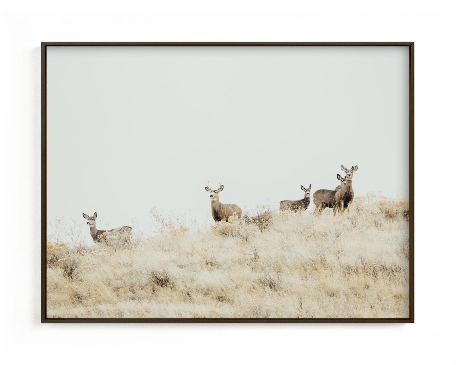 "Watchful" - Limited Edition Art Print by Jennifer Morrow in beautiful frame options and a variety of sizes.