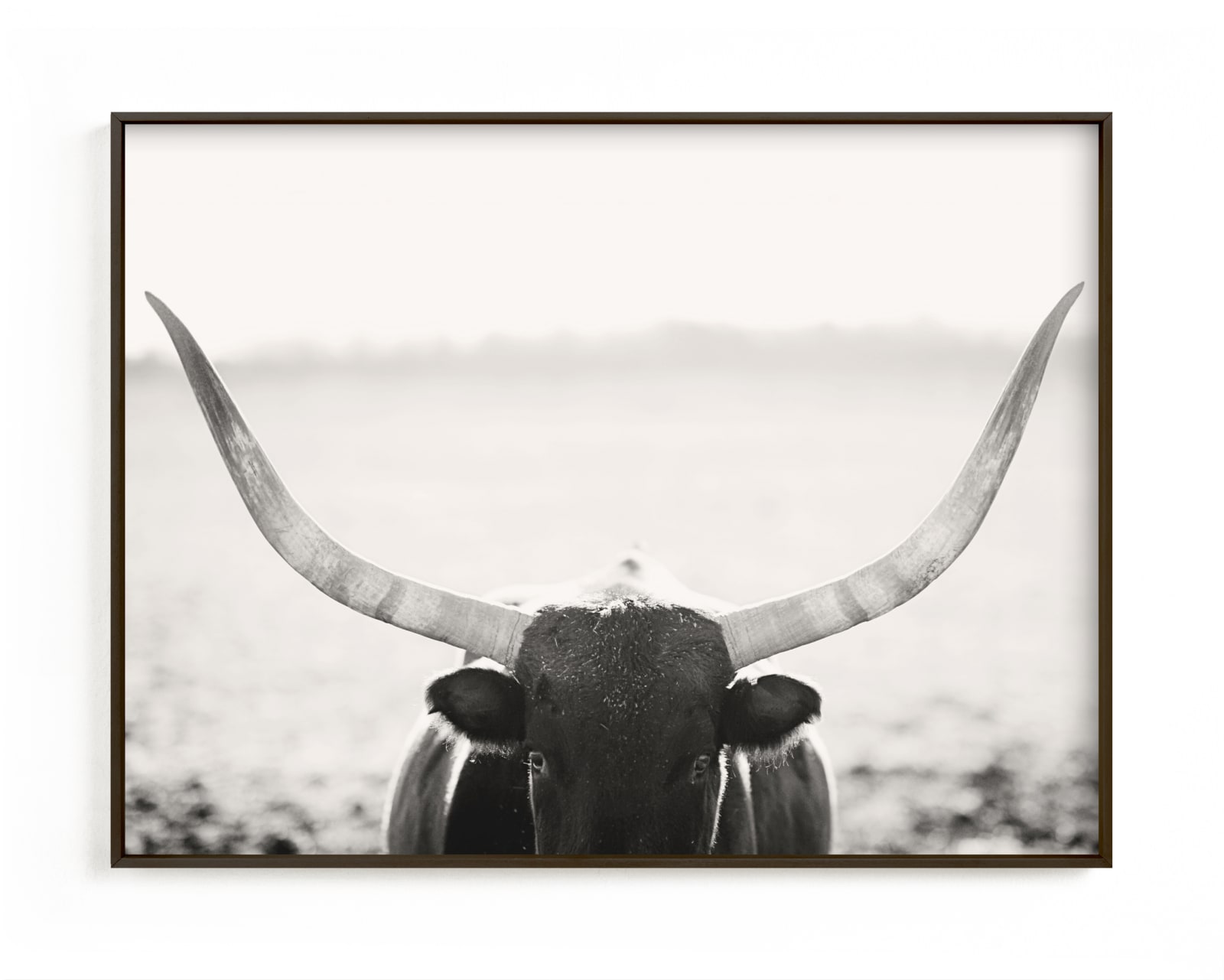 "Staredown" - Open Edition Fine Art Print by Amy Carroll in beautiful frame options and a variety of sizes.