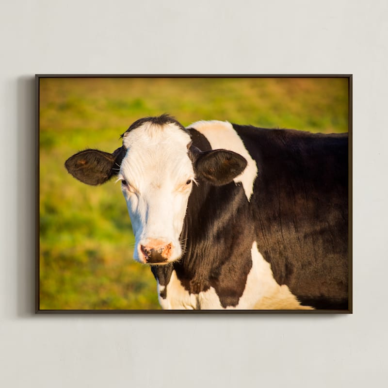 Portrait of a cow II