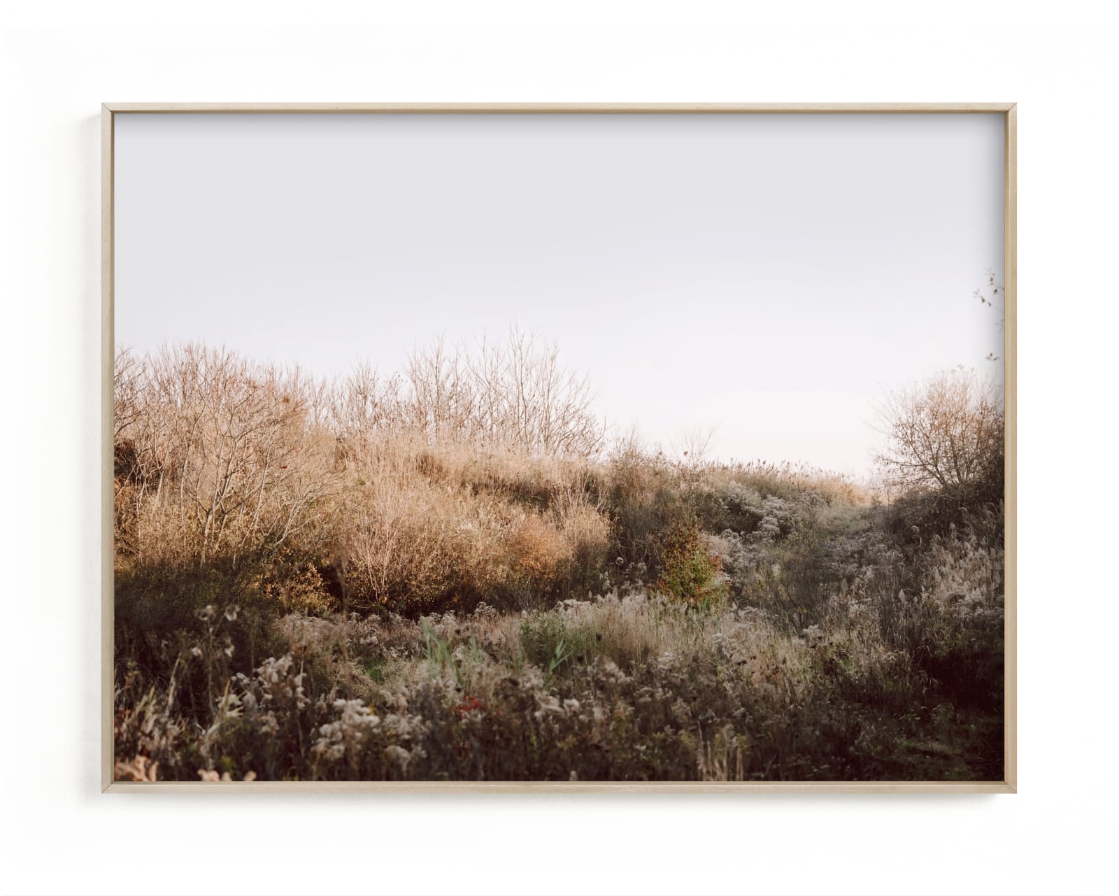 "The Preserve" - Limited Edition Art Print by Robin Ott in beautiful frame options and a variety of sizes.