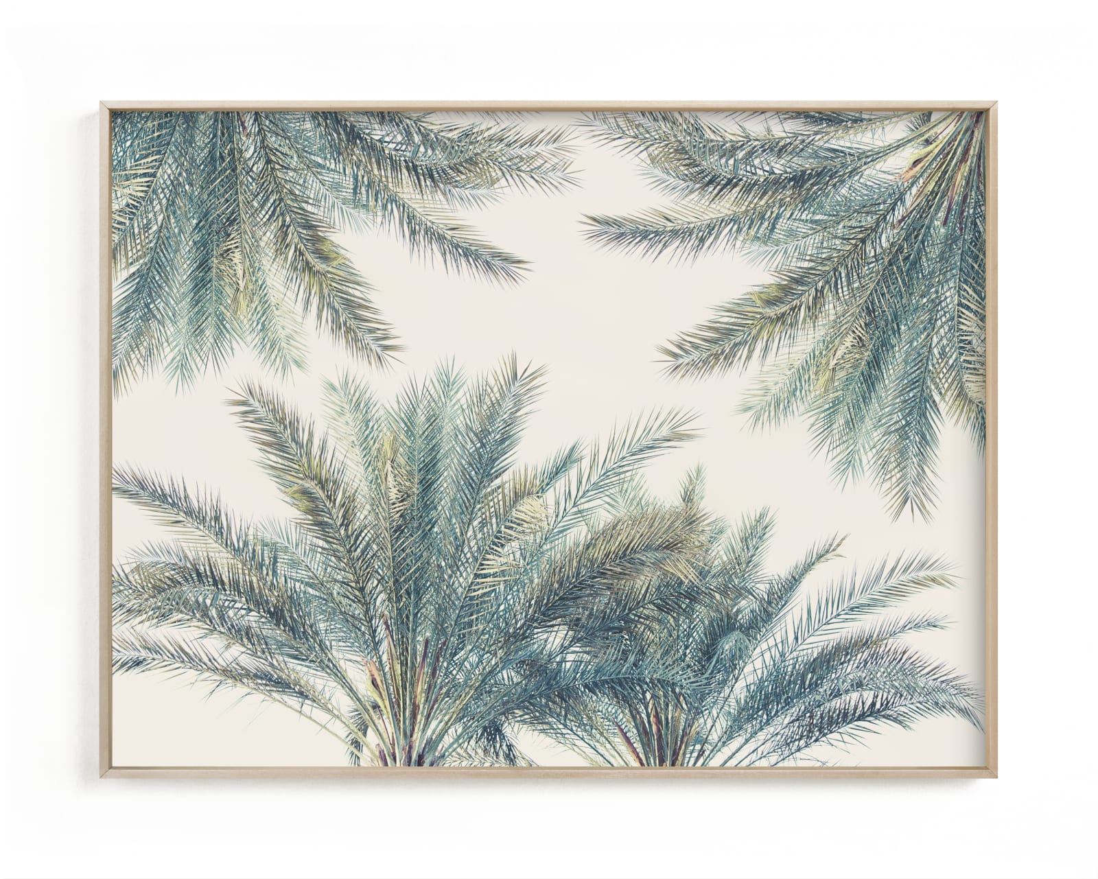 "Fronds in High Places" - Limited Edition Art Print by Irene Suchocki in beautiful frame options and a variety of sizes.