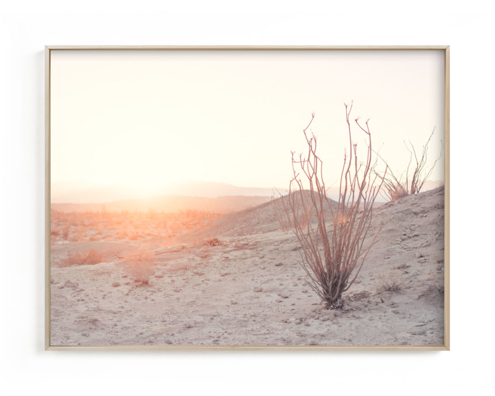 "Ocotillo III" - Art Print by Kamala Nahas in beautiful frame options and a variety of sizes.