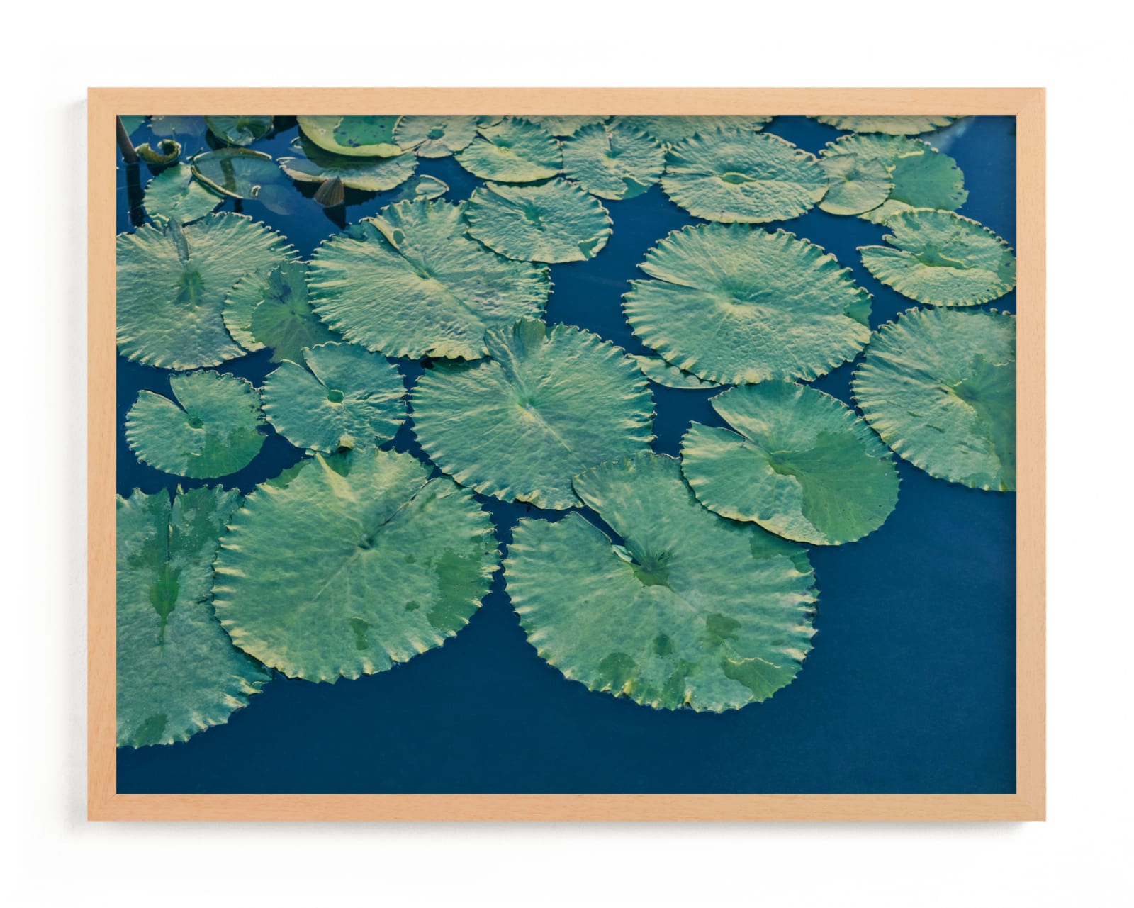 "Painted Lily Pads" - Limited Edition Art Print by Jessica C Nugent in beautiful frame options and a variety of sizes.