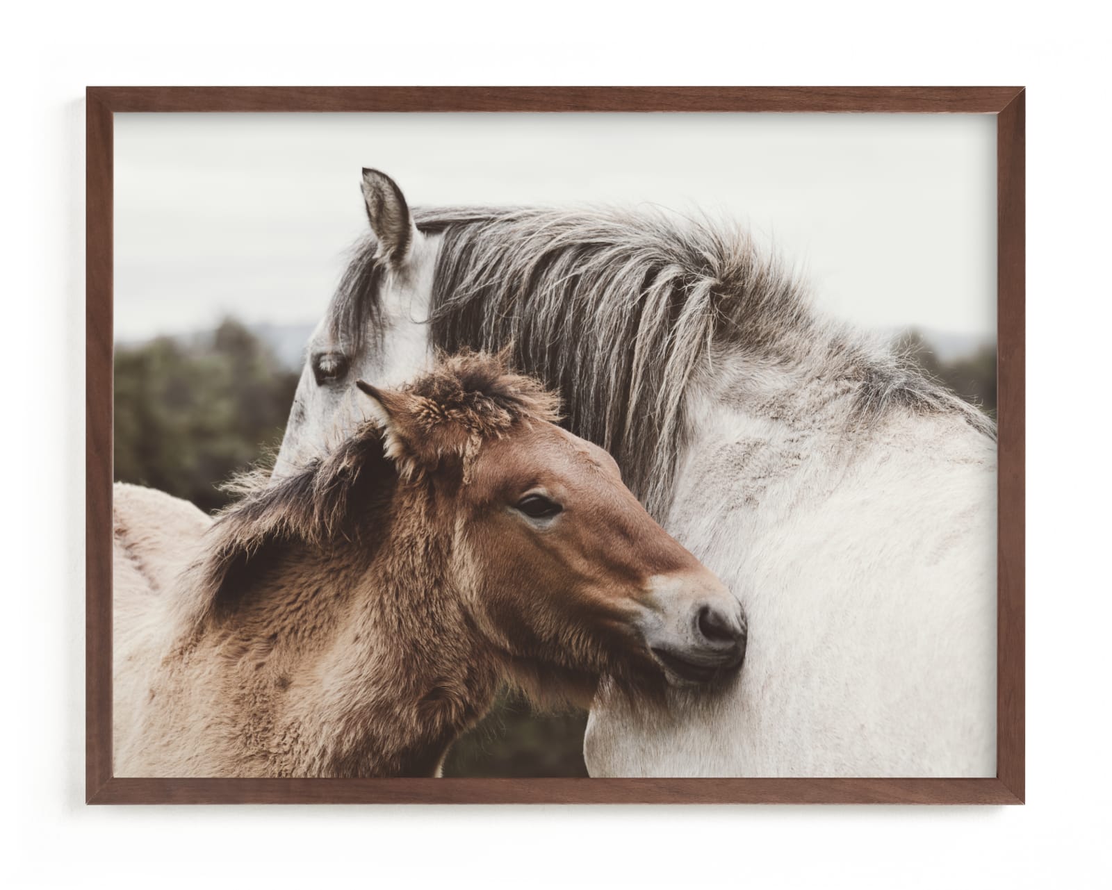 "nuzzle" - Limited Edition Art Print by Kamala Nahas in beautiful frame options and a variety of sizes.