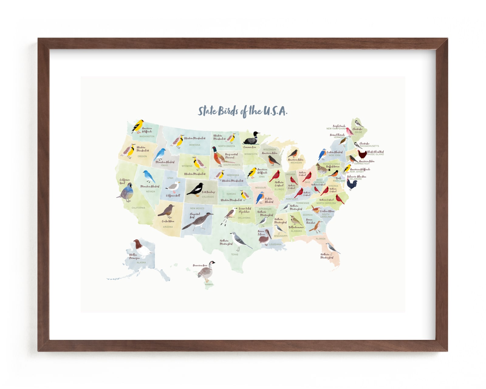 "State Birds of the USA" - Limited Edition Art Print by Cynthia Jacquette in beautiful frame options and a variety of sizes.