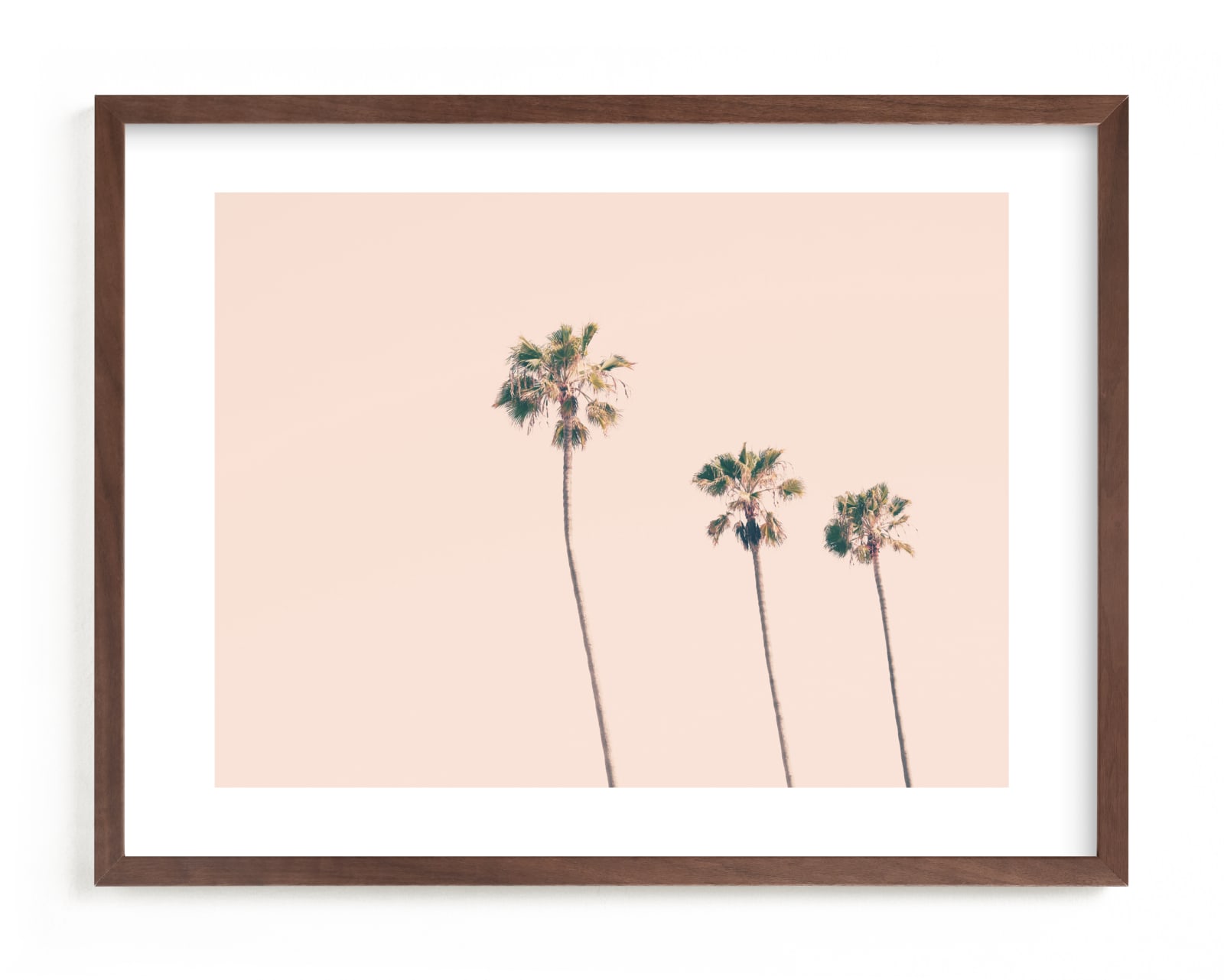 "Pink Sky & Palms" - Limited Edition Art Print by Caroline Mint in beautiful frame options and a variety of sizes.