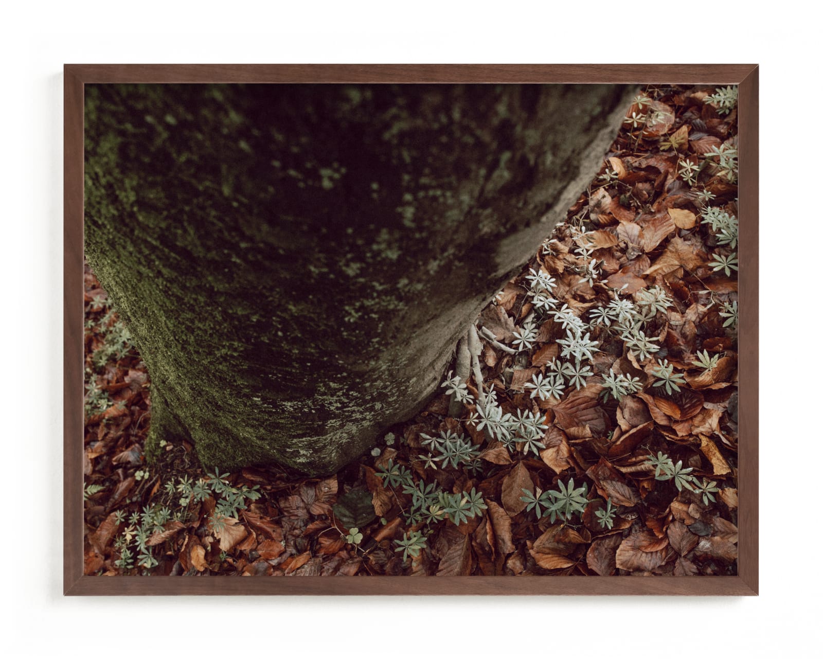 "Time for the fresh air II" by Lying on the grass in beautiful frame options and a variety of sizes.