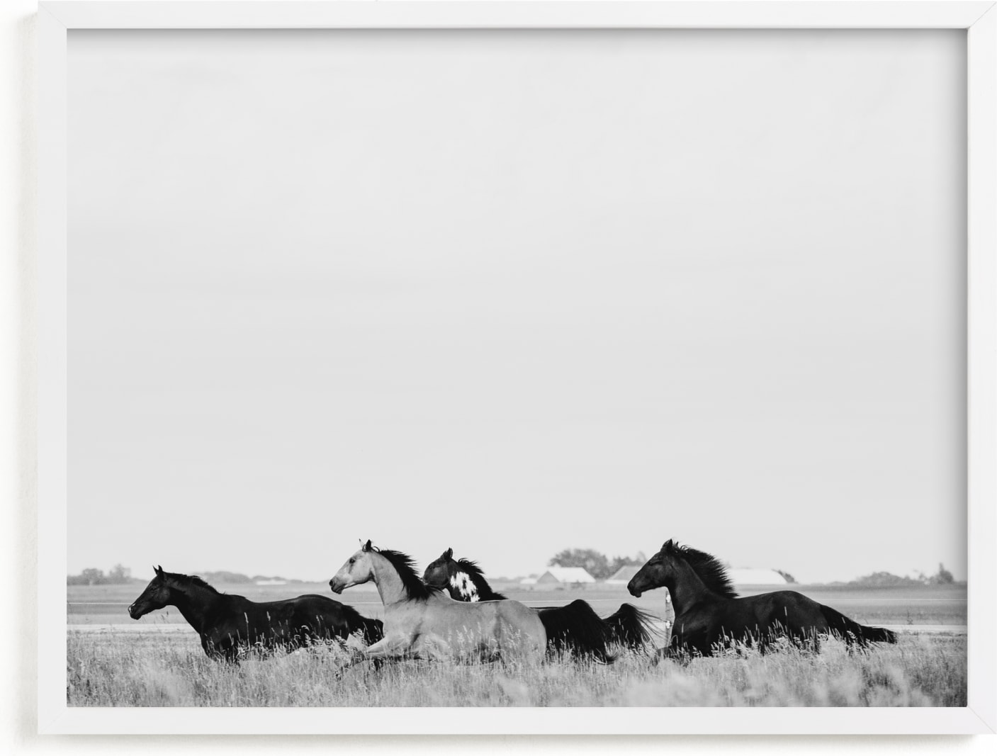 This is a black and white art by Amy Carroll called That Wild Dream.
