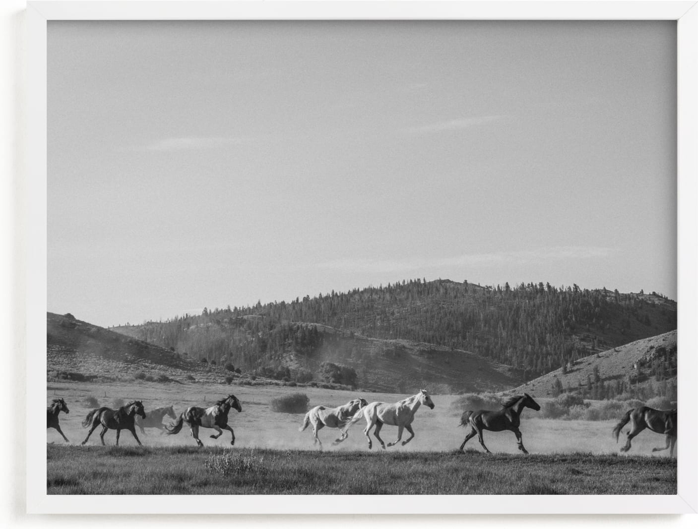 This is a black and white art by Sara Hicks Malone called wild wild west II.