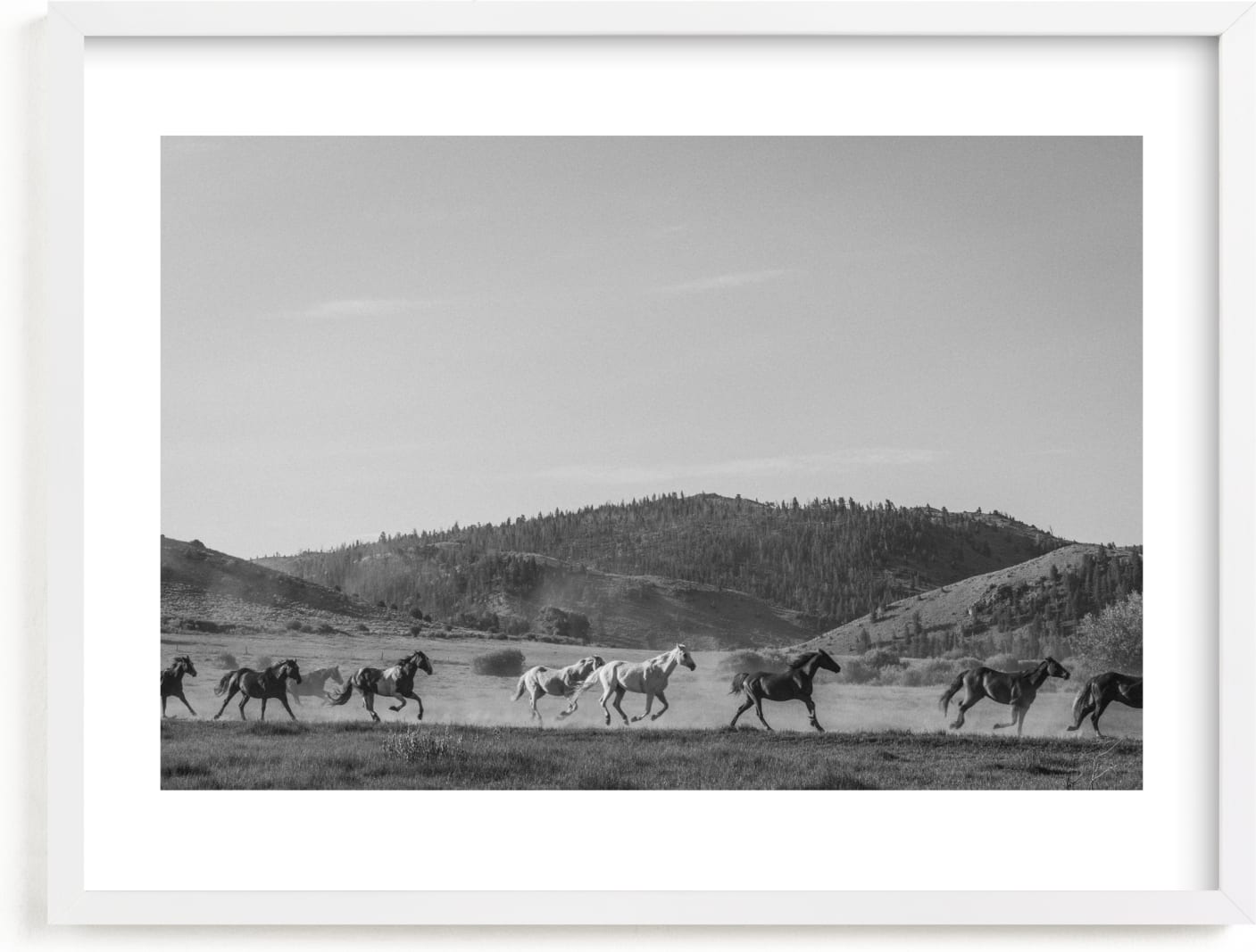 This is a black and white art by Sara Hicks Malone called wild wild west II.
