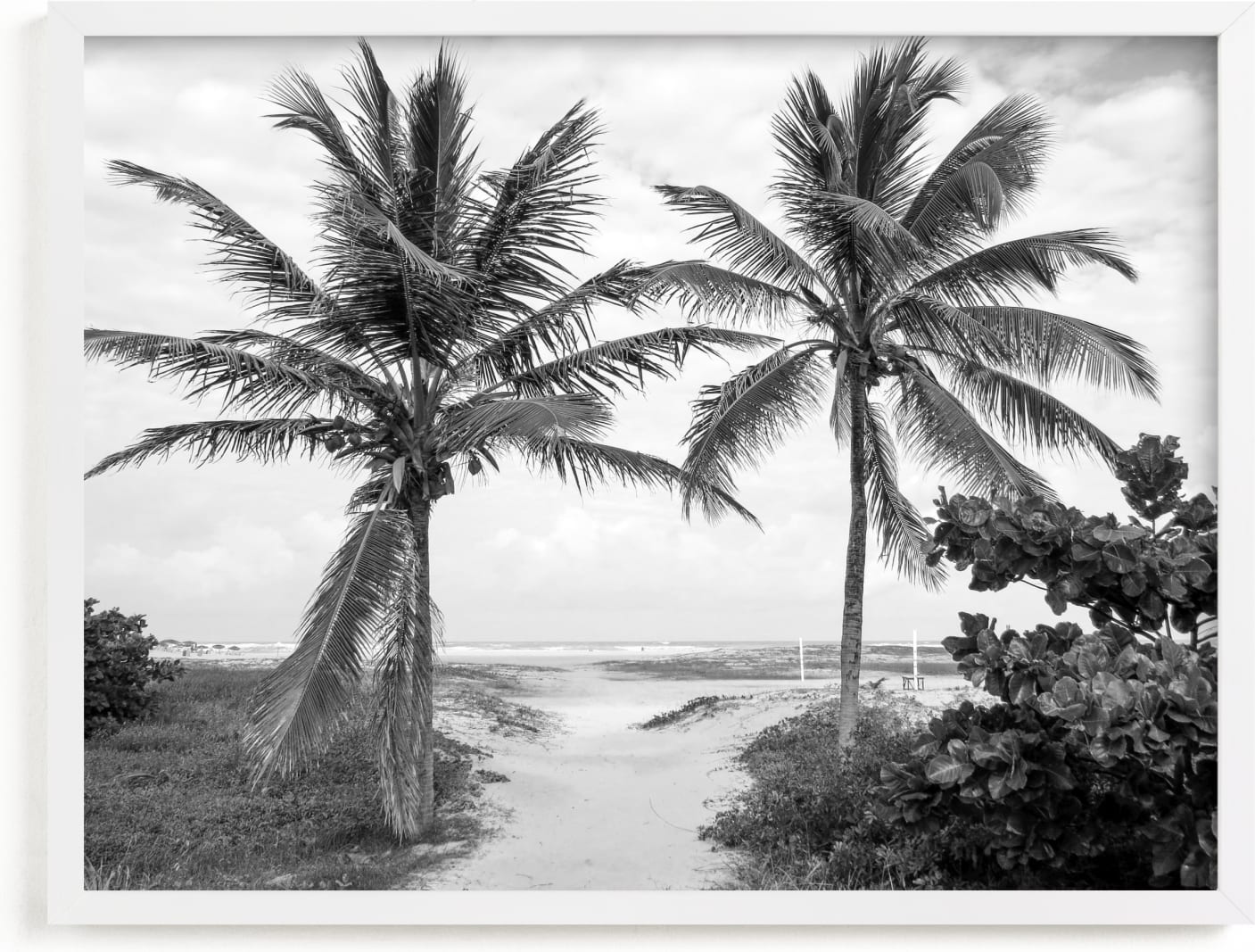 This is a black and white art by Eliane Lamb called Coconut gate.