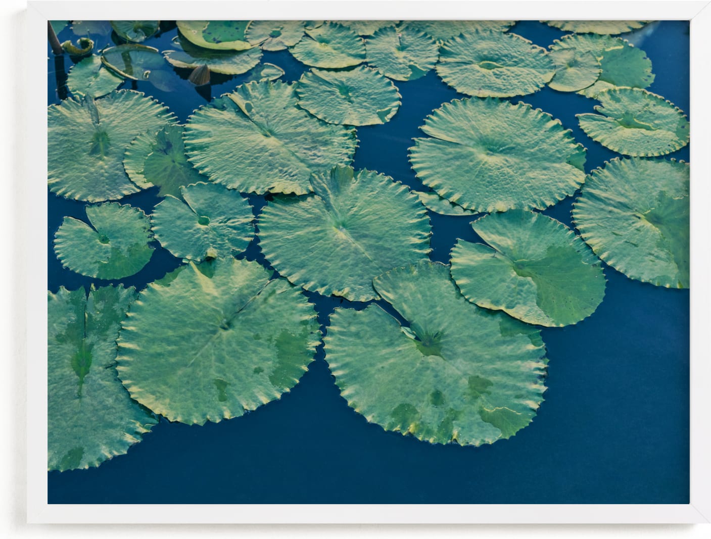 This is a blue art by Jessica C Nugent called Painted Lily Pads.