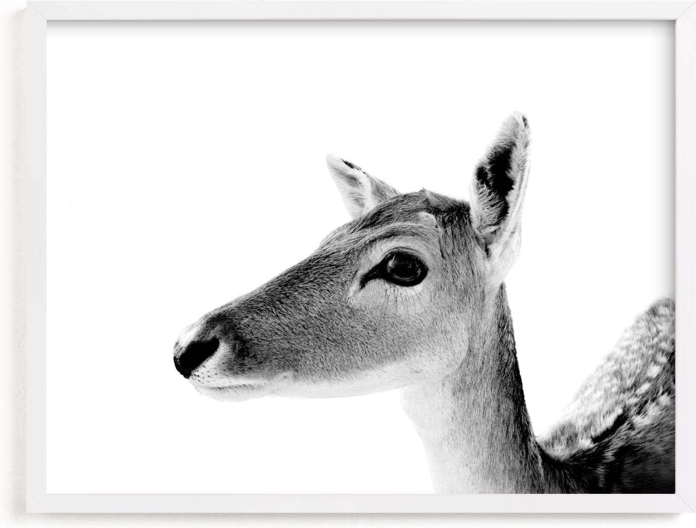 This is a black and white art by Jessie Steury called Darling Deer.