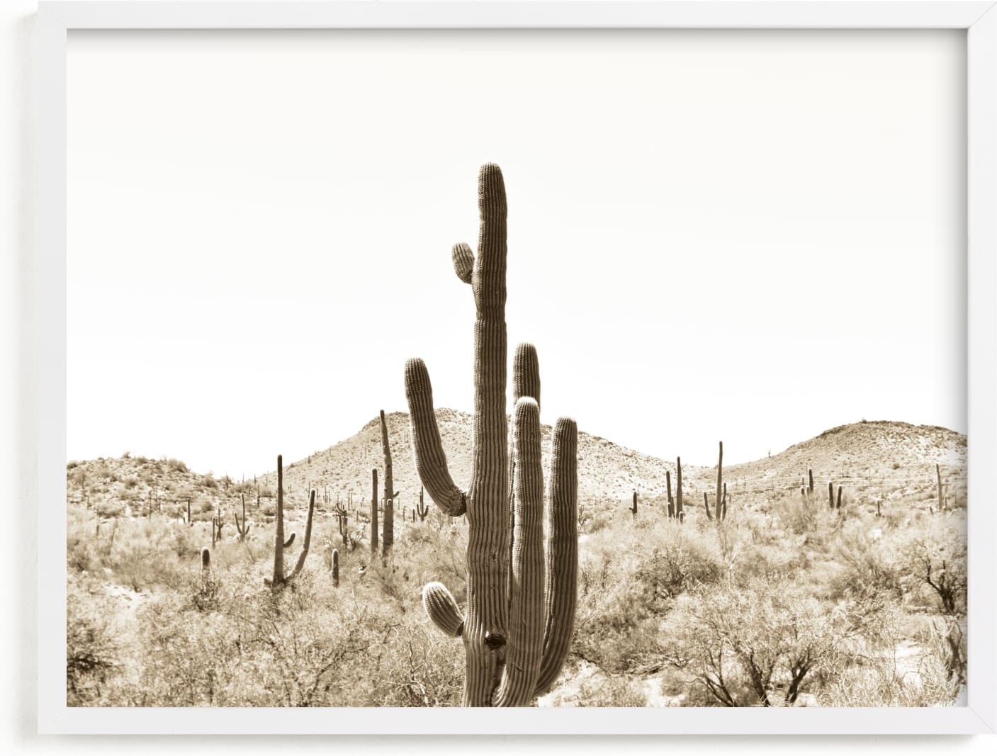 This is a beige art by Lisa Assenmacher called Cacti V.