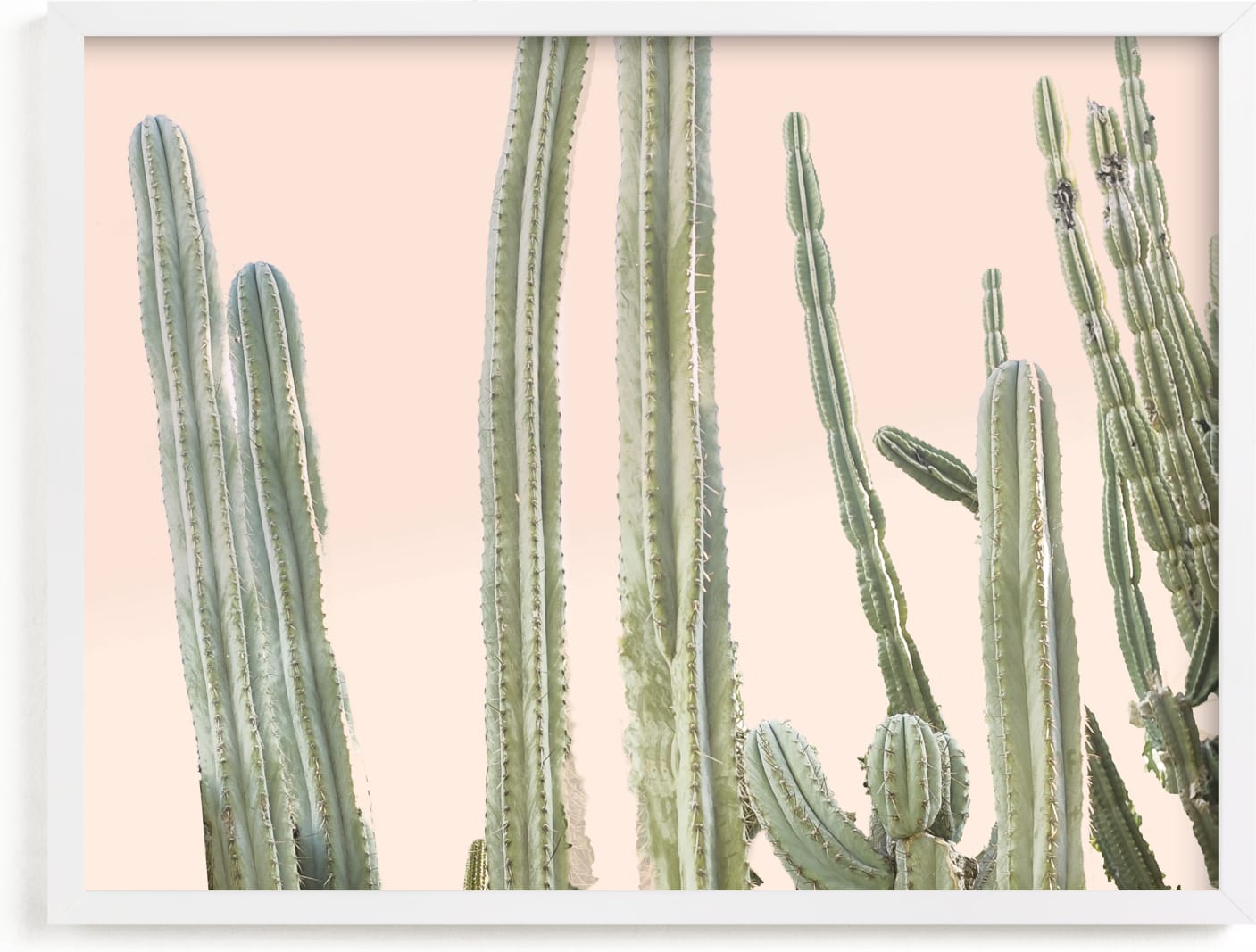 This is a pink art by Wilder California called Peachy Cactus Print.