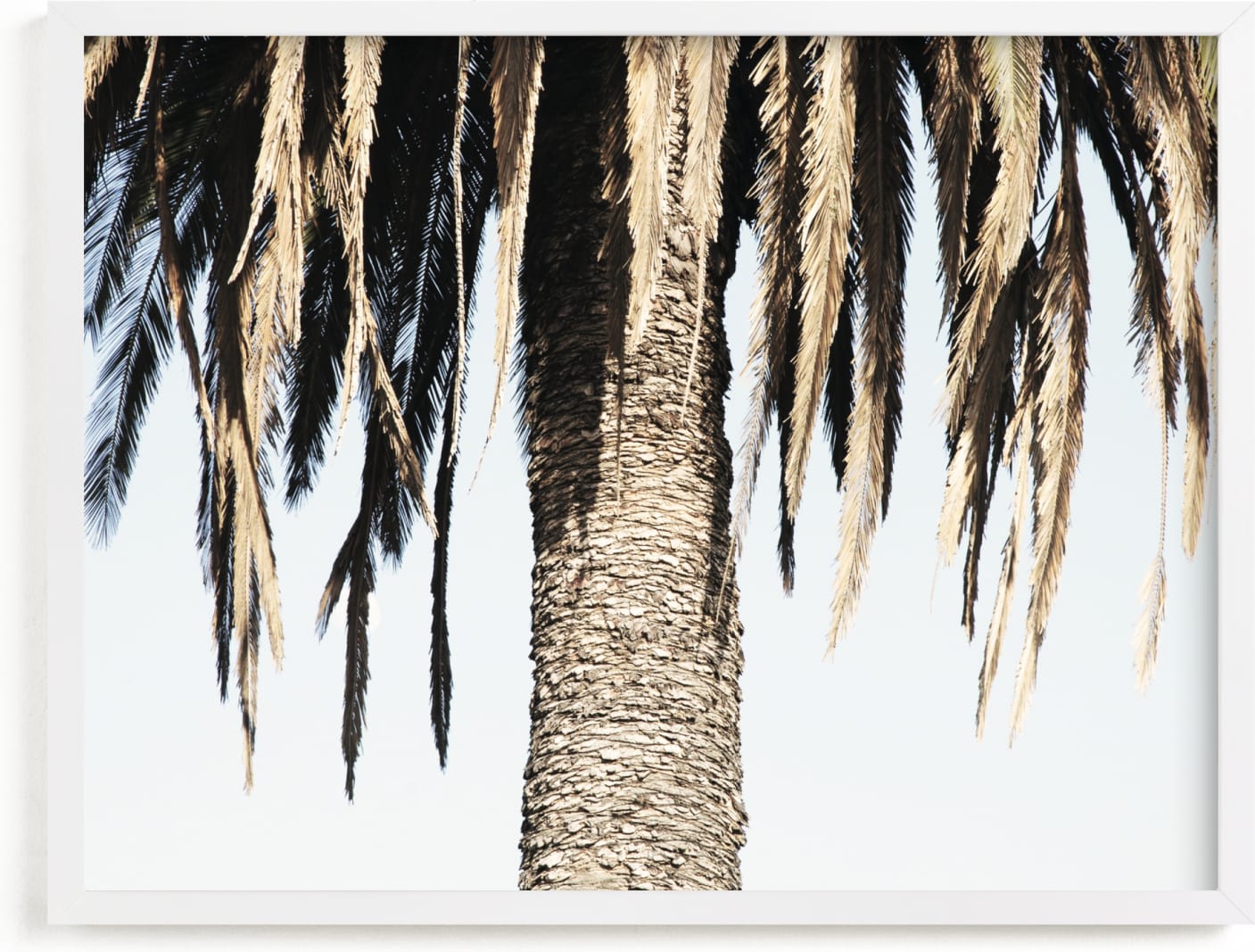 This is a blue art by Elan Alvarez Sherman called Hanging Palms.