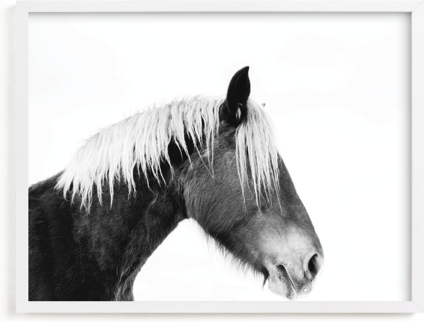 This is a black and white kids wall art by Amy Carroll called Ansel.