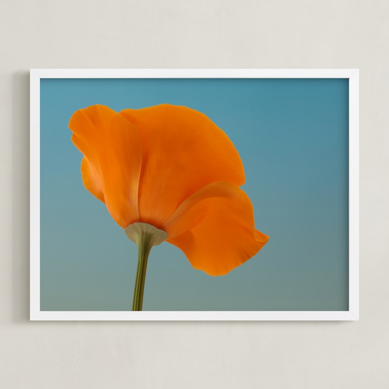 MIN-AV9-DNA - California Poppy