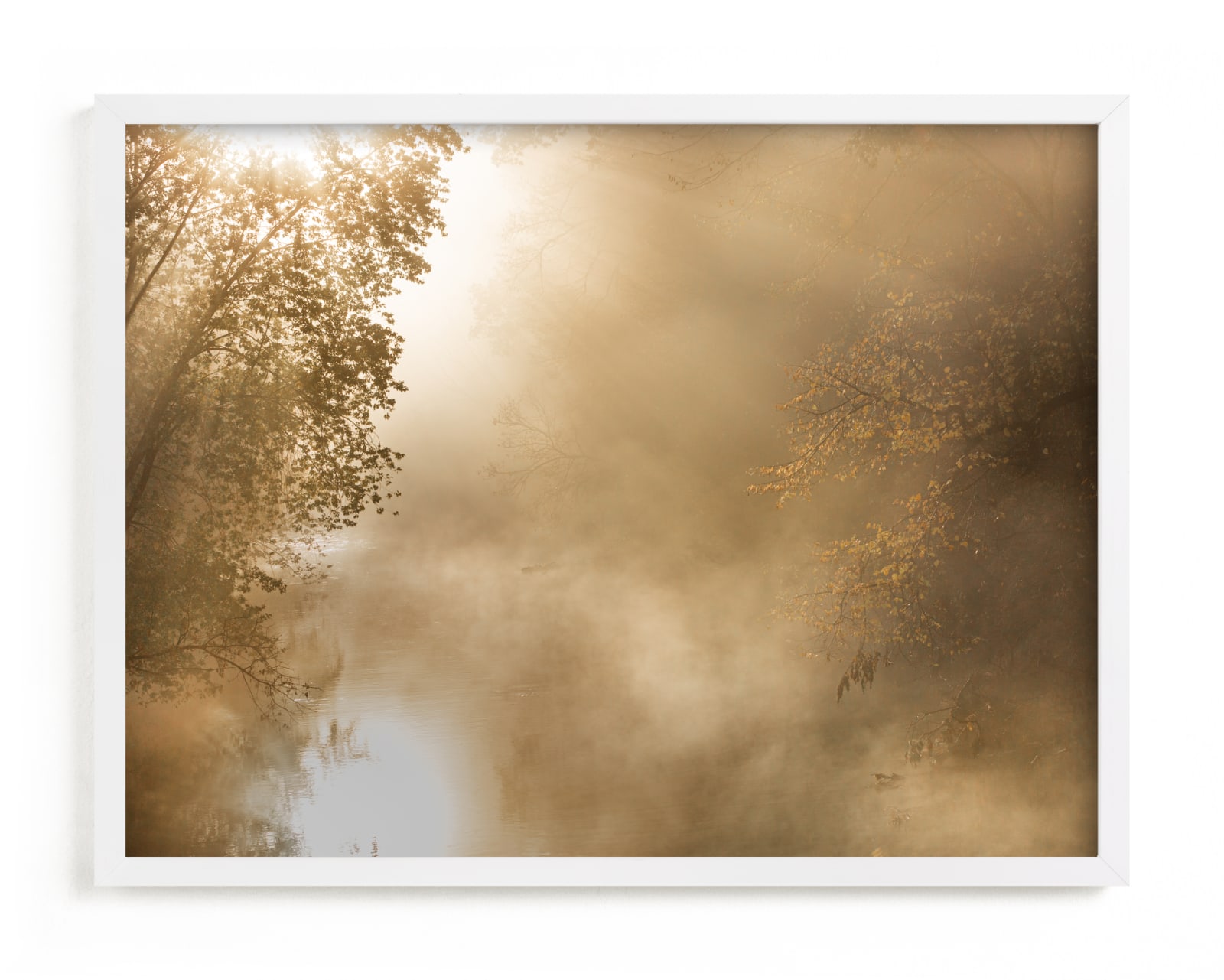 "Golden Light" - Limited Edition Art Print by Jan McElhinny in beautiful frame options and a variety of sizes.