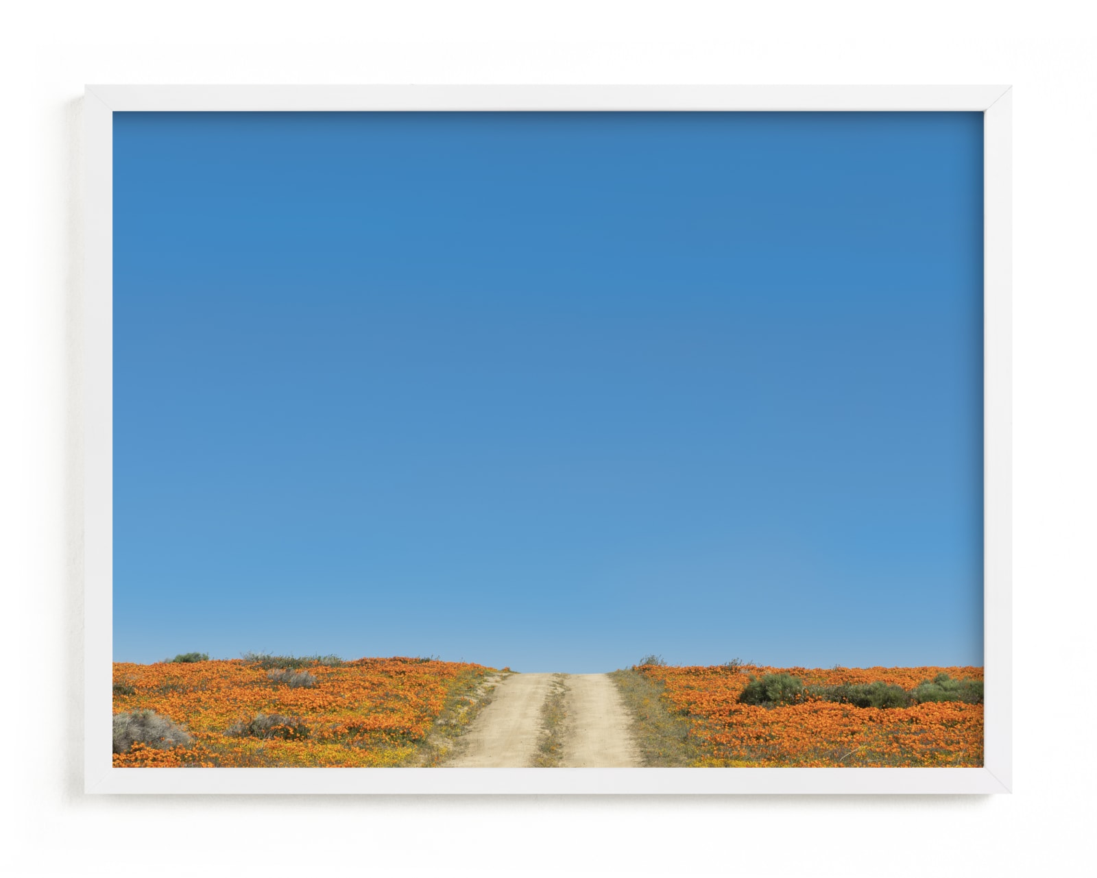 "POPPY LANE" - Limited Edition Art Print by Denise Crew in beautiful frame options and a variety of sizes.