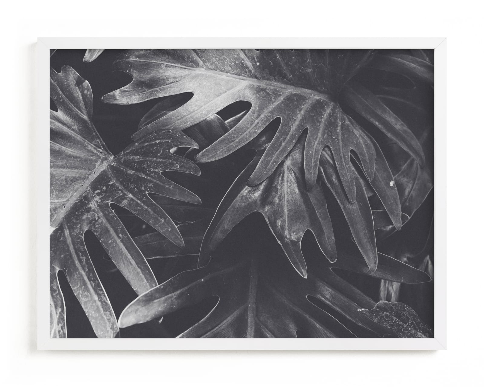 "Tropical Tori" - Limited Edition Art Print by Katie Short in beautiful frame options and a variety of sizes.