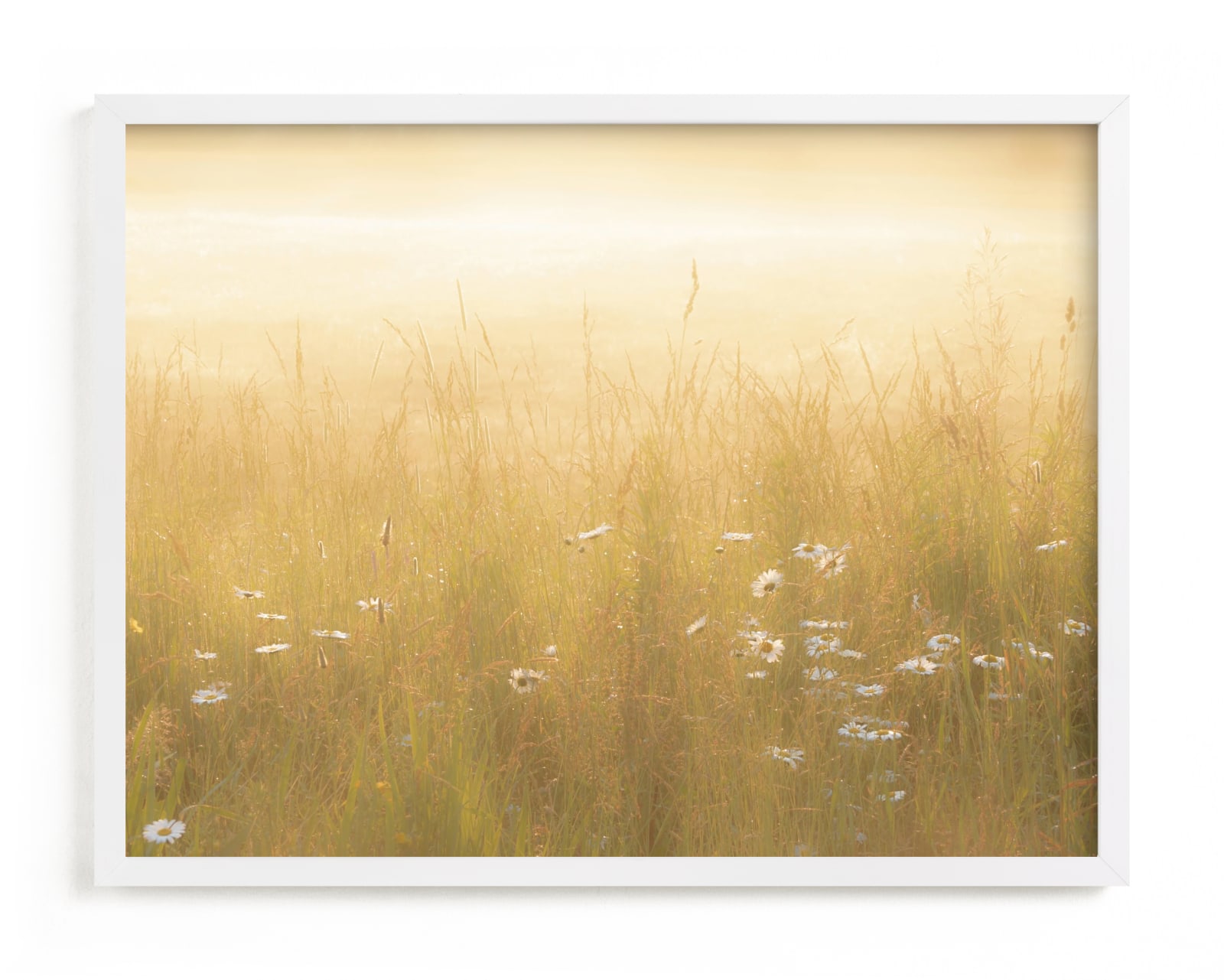 "Golden Meadow" - Limited Edition Art Print by Julia Preminger in beautiful frame options and a variety of sizes.