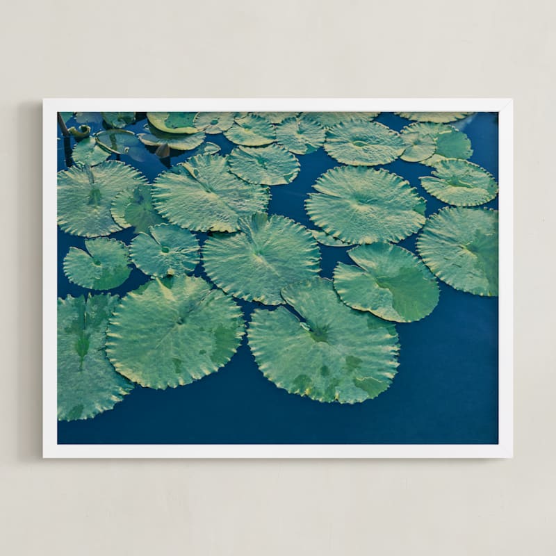 MIN-QDV-DNA - Painted Lily Pads